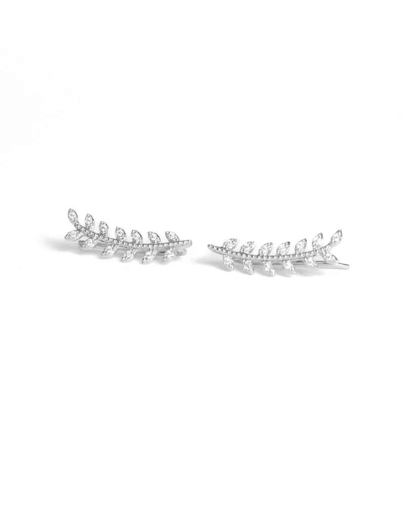 Contours d'oreilles argent - PITA