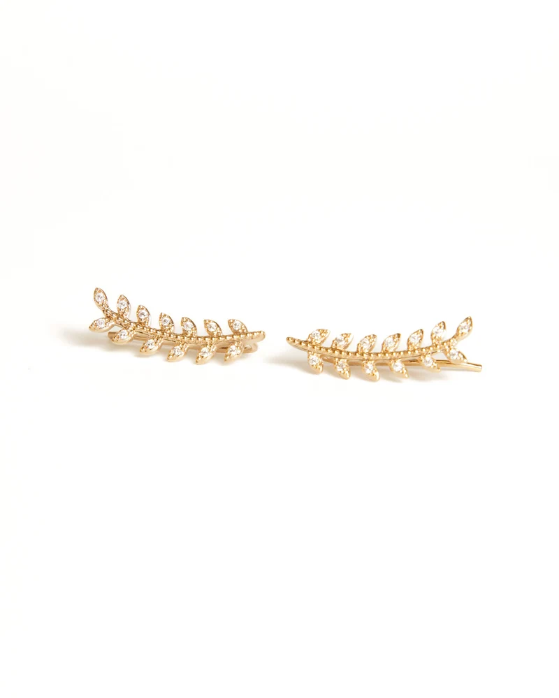 Contours d'oreilles - PITA