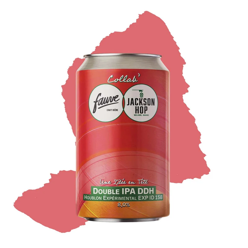 Une Idée en Tête - DIPA DDH Houblon Experimental ID 158- 33cL
