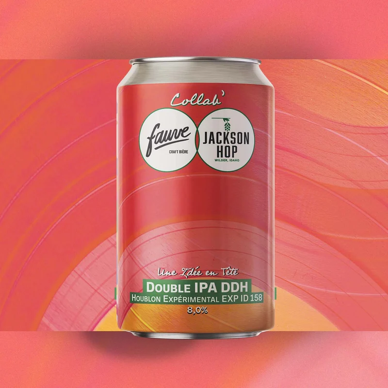 Une Idée en Tête - DIPA DDH Houblon Experimental ID 158- 33cL