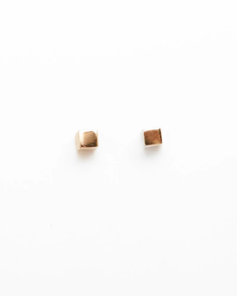 Puces (unité) - CLOU