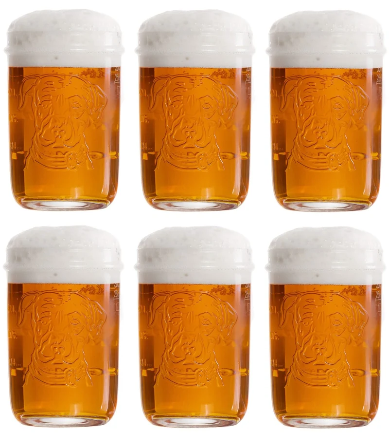 Ensemble de verres a biere Lagunitas - Verre a biere - 300 ml - 6 pieces