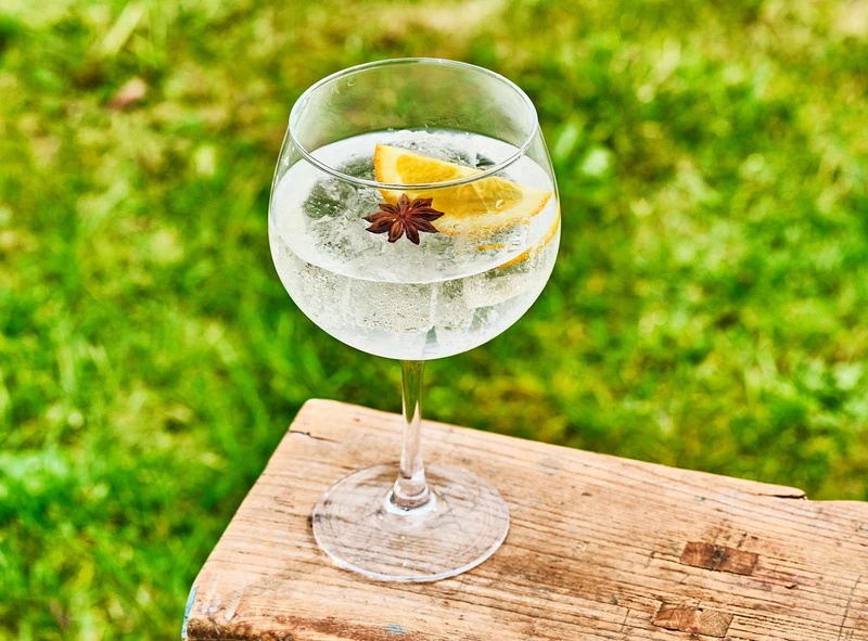 Ensemble de verres a gin tonic Cosy&Trendy - Gin tonic - 700 ml - 6 pièces