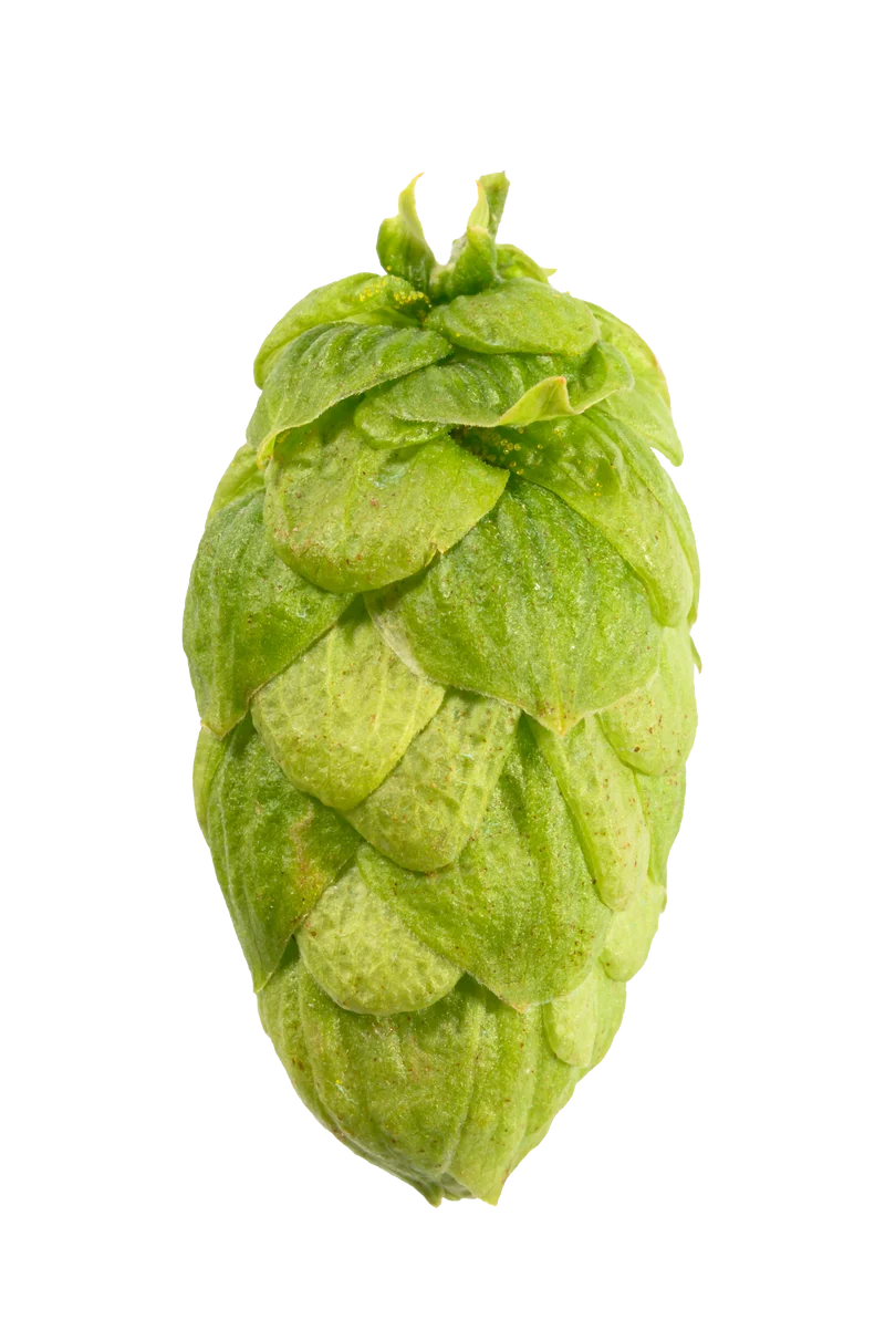 Monroe Hops