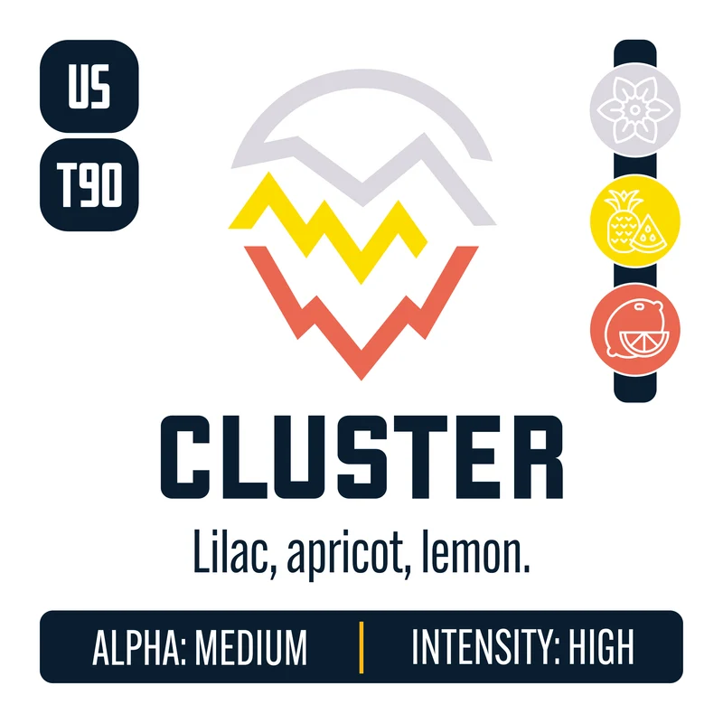 Cluster Hops