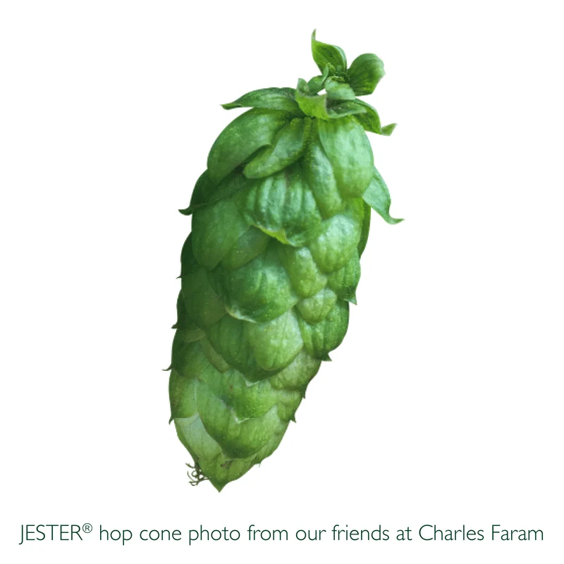 Jester Hops