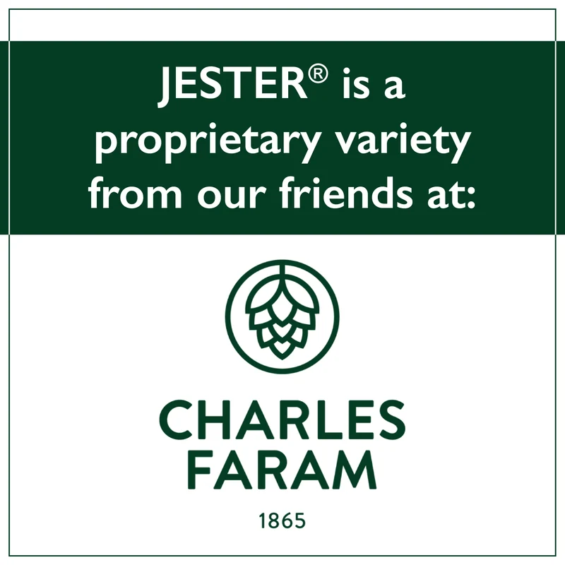 Jester Hops