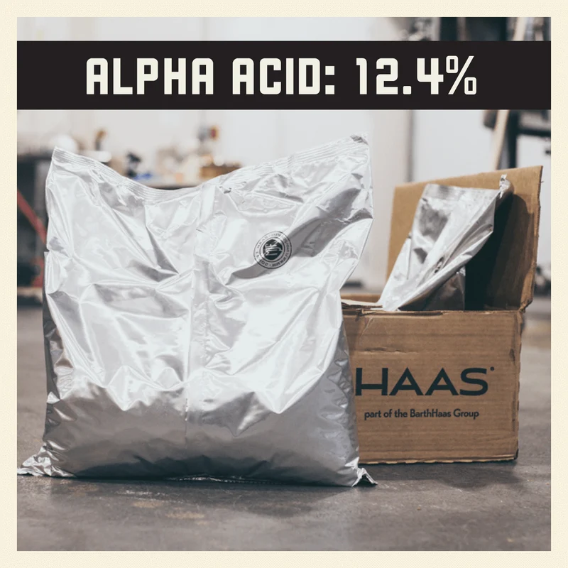 MJF Hop Blend