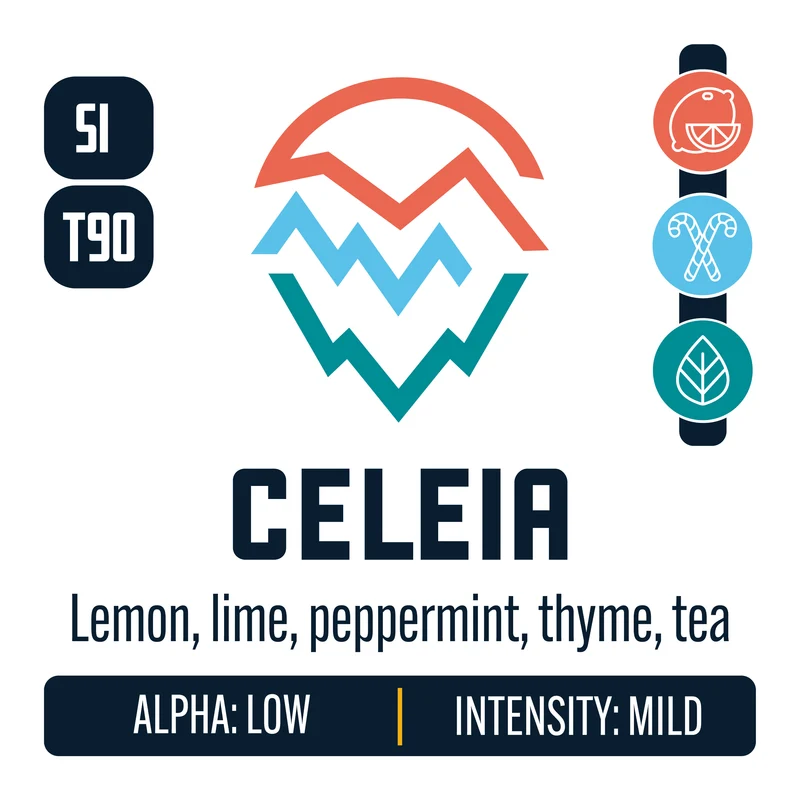 Styrian Golding Celeia Hops