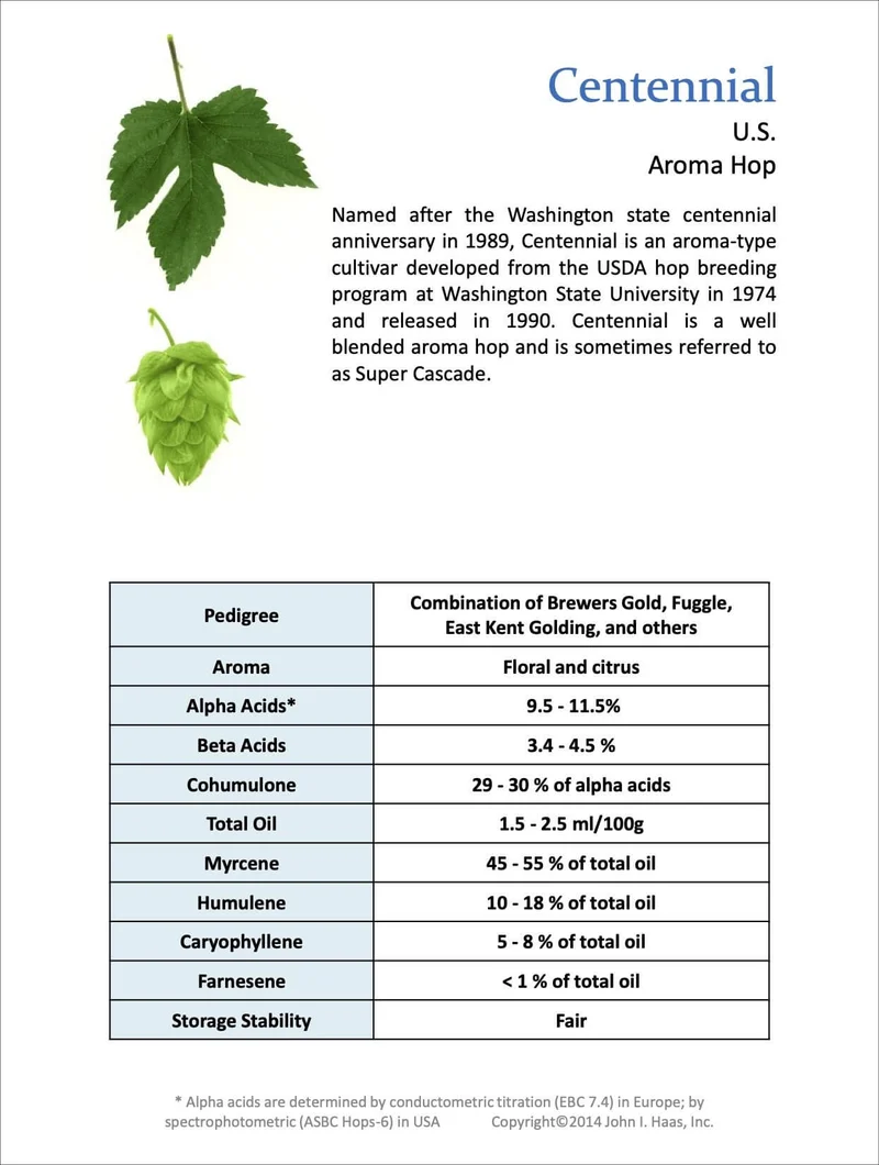 Centennial Hops