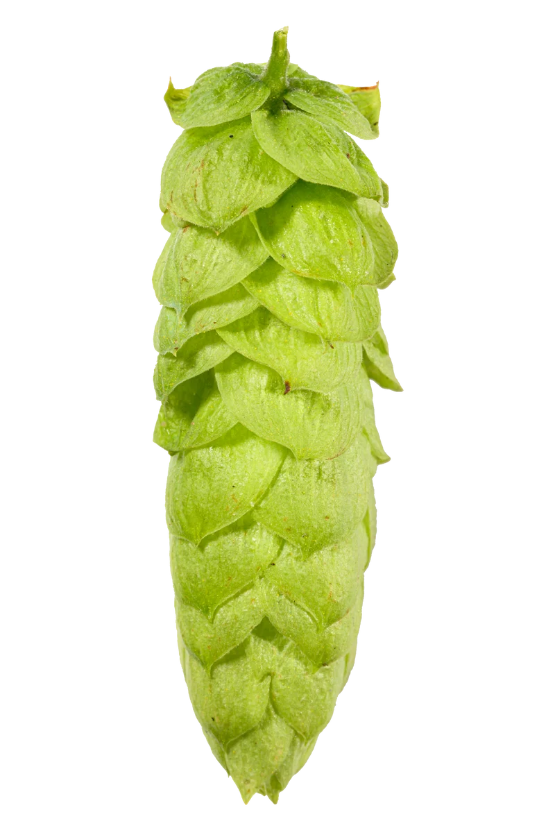 Comet Hops