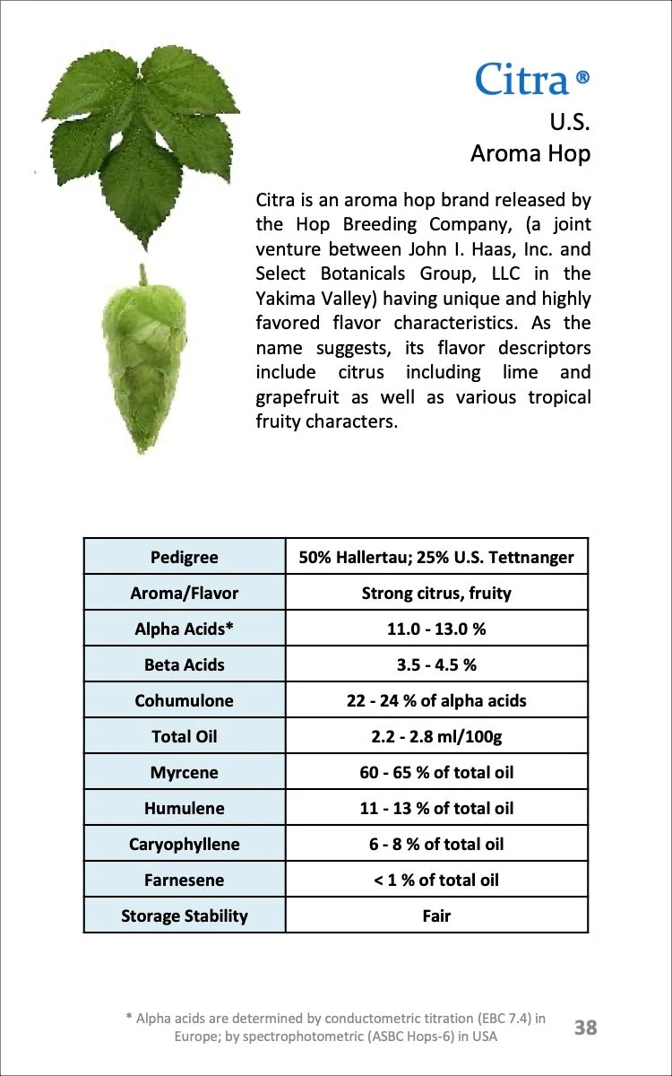 Citra Hops
