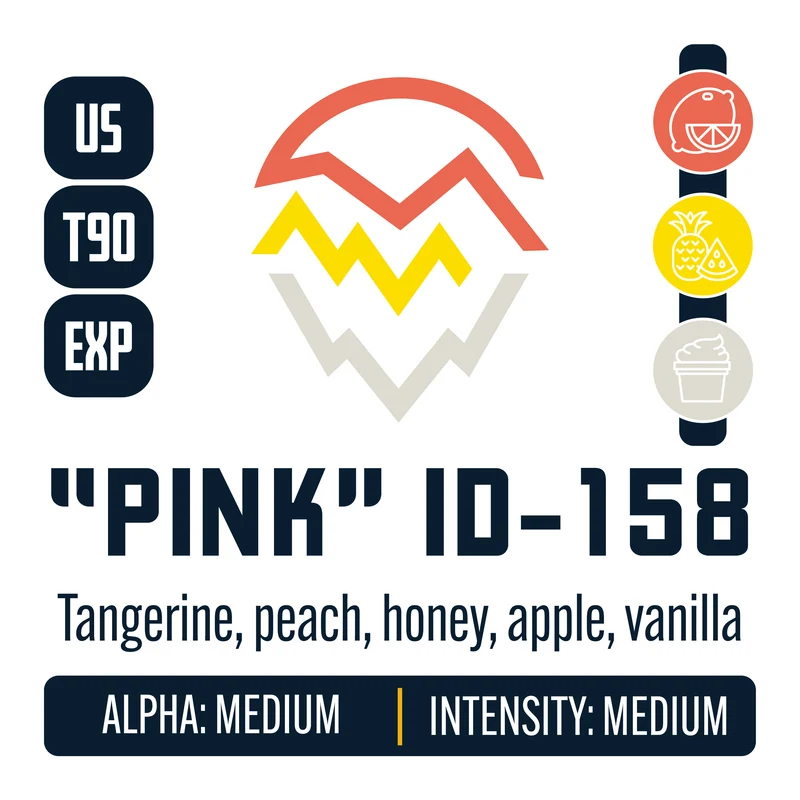 Experimental PINK (ID-158) Hops