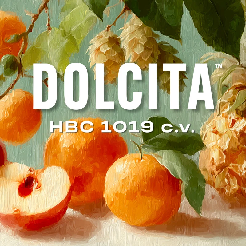 Dolcita (HBC 1019) Hops