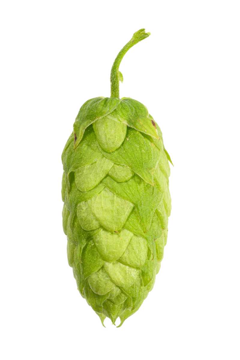 Amarillo Hops
