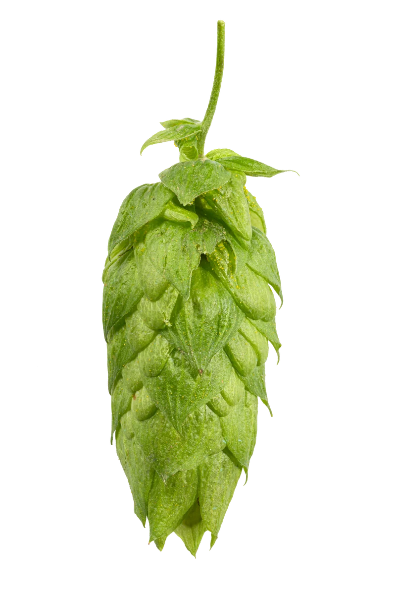 Magnum Hops