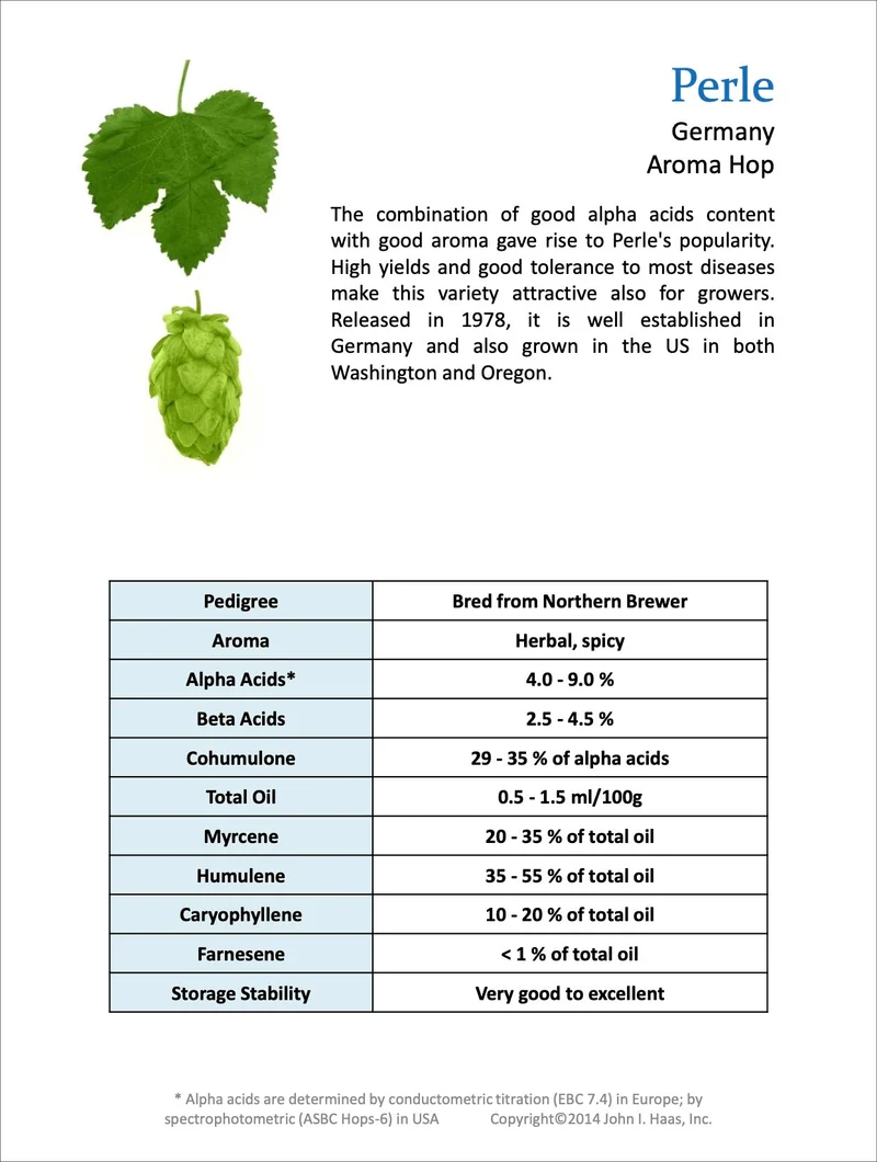 Perle Hops