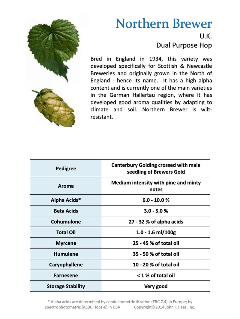 Northern Brewer Hops