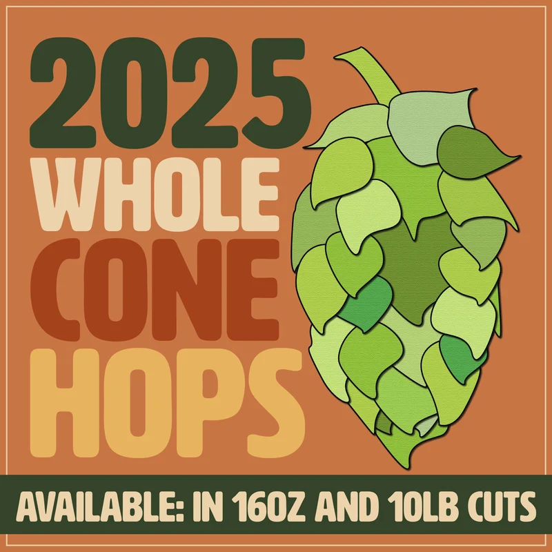 Whole Cone Hops