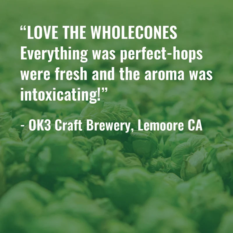 Whole Cone Hops