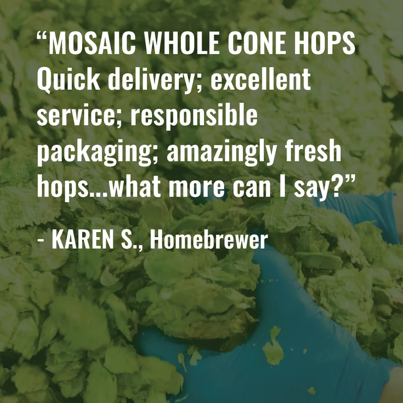 Whole Cone Hops
