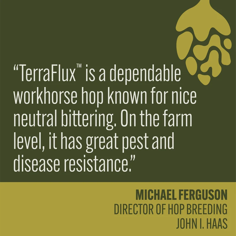 TerraFlux HBC 682 Hops