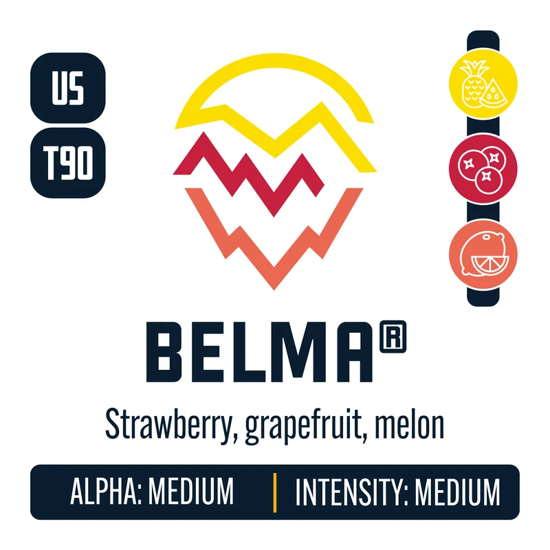 Belma Hops