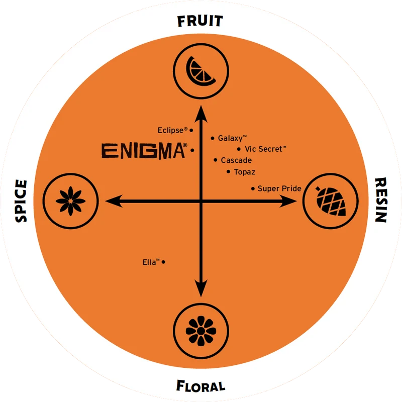 Enigma Hops