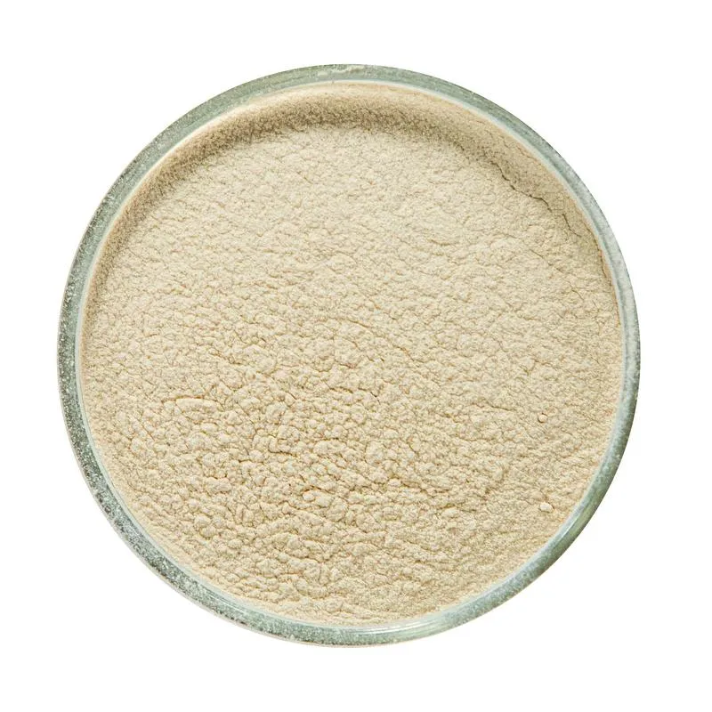 Yeast Nutrient