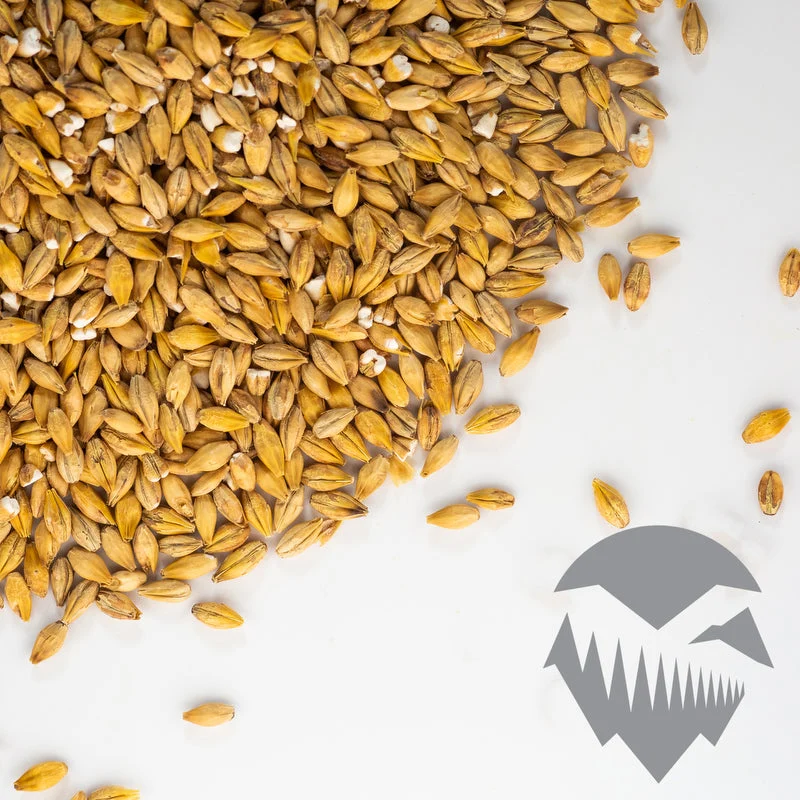 Acidulated Malt - Ireks