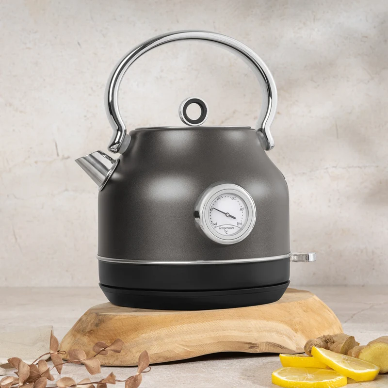 Bouilloire Électrique BerlingerHaus Mat Anthracite - avec Thermomètre - 1,7 L - 2200W
