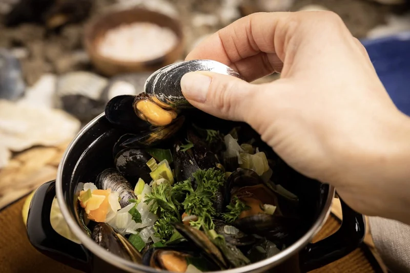 Service à moules - Marmite à moules ø 24 cm (Induction) avec Assiettes à moules & Couverts Anovi - 2 Personnes