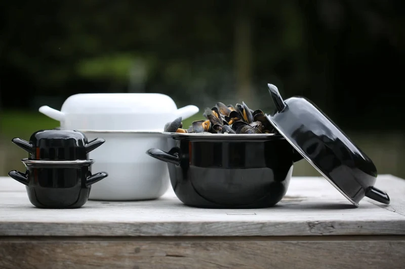 Marmite à moules Cosy & Trendy - Compatible induction - Émail - ø 24 cm