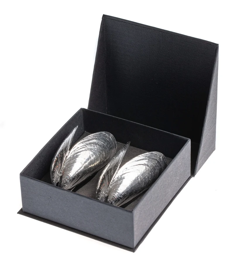 Service à moules - Marmite à moules ø 24 cm (Induction) avec Assiettes à moules & Couverts Anovi - 2 Personnes