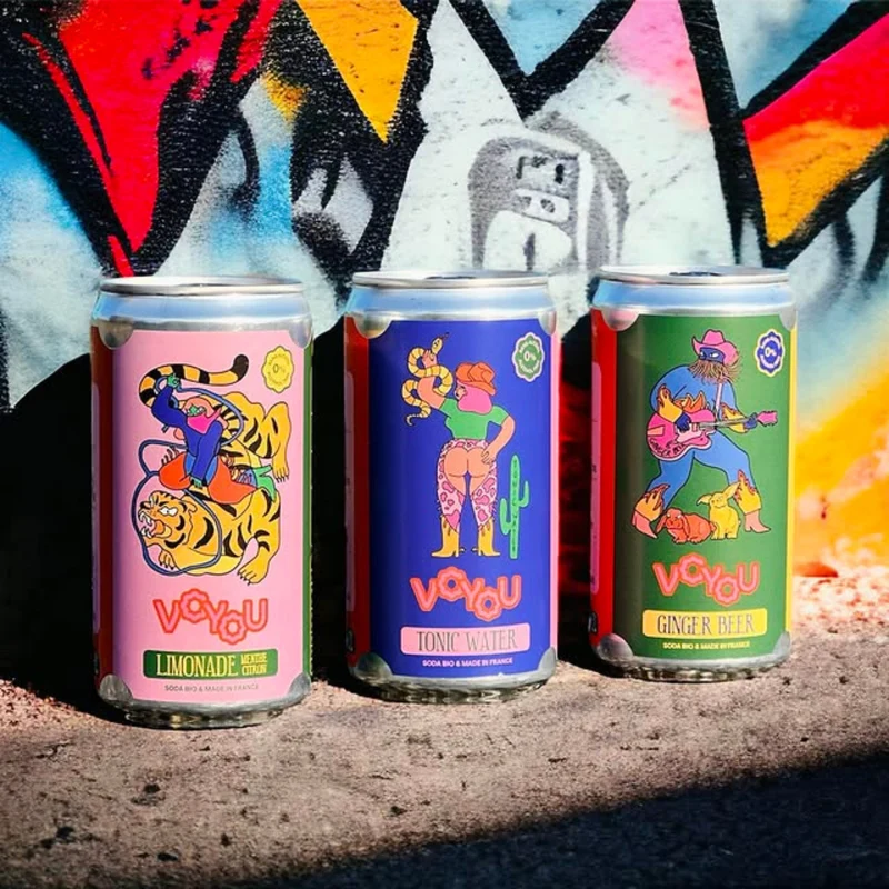 Ginger Beer Bio - Voyou