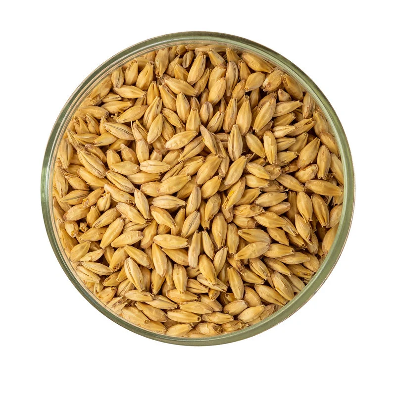2-Row Malt - Rahr