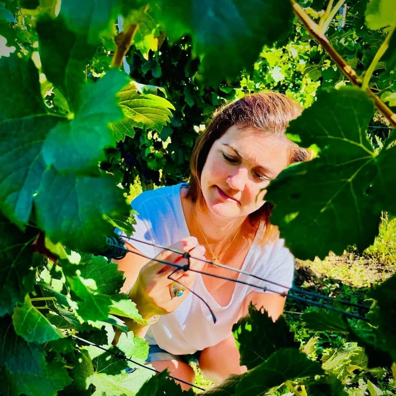 Eden - Sauvignon blanc - Château Clos de Boüard