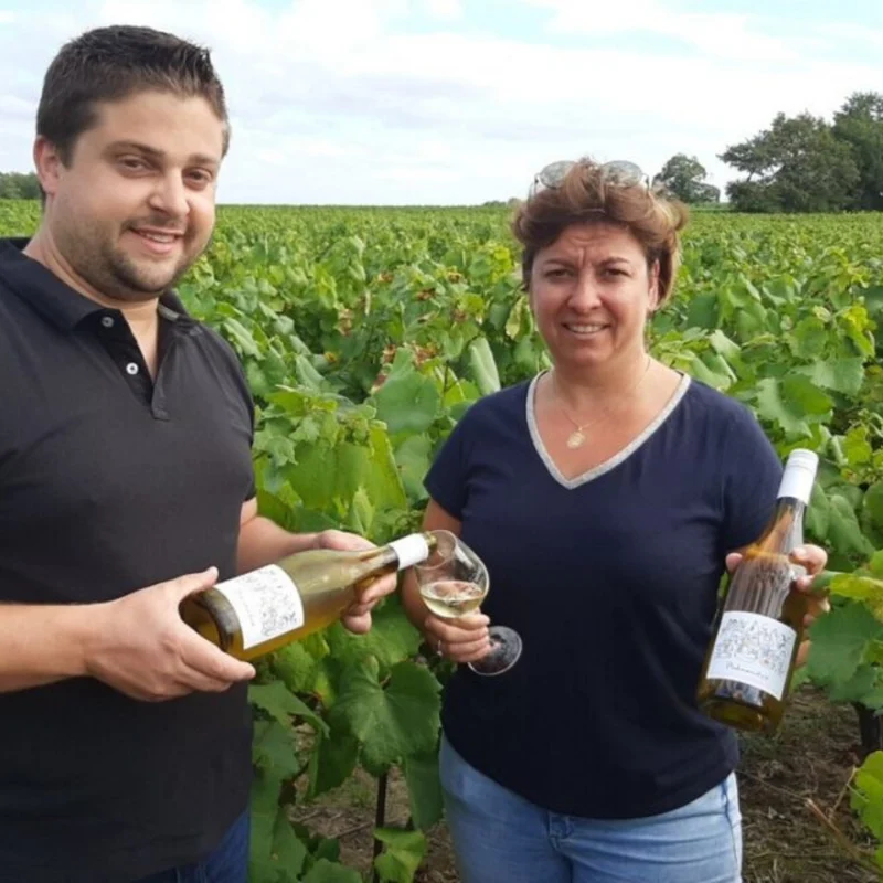 Phénomène - Melon de Bourgogne désalcoolisé - Domaine de la Grenaudière