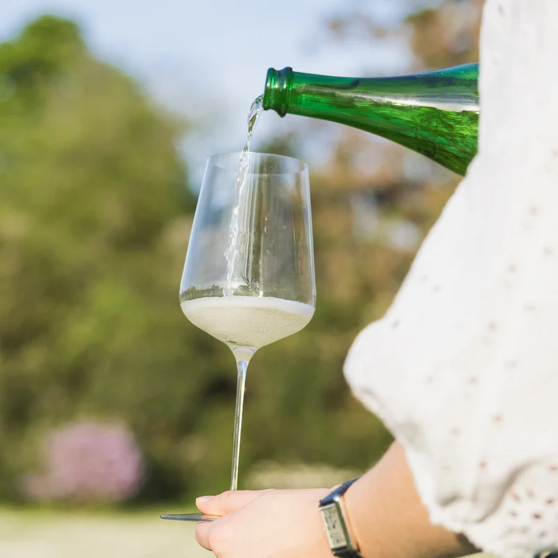 Sauvignon blanc effervescent - Divin