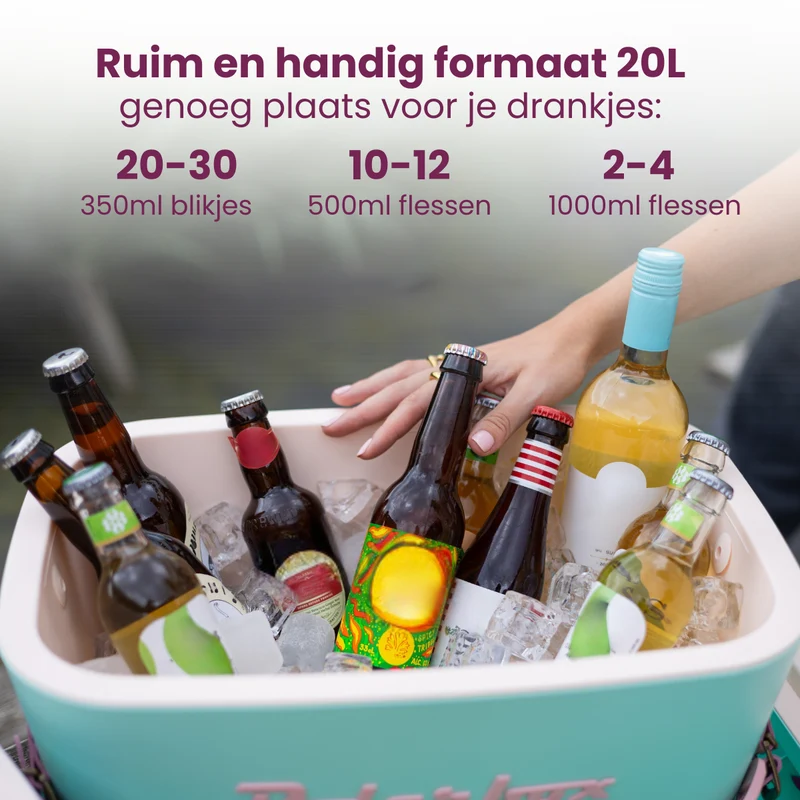 Glacière Polarbox - Glacière avec bandoulière - Lime-Lilac - 20 L