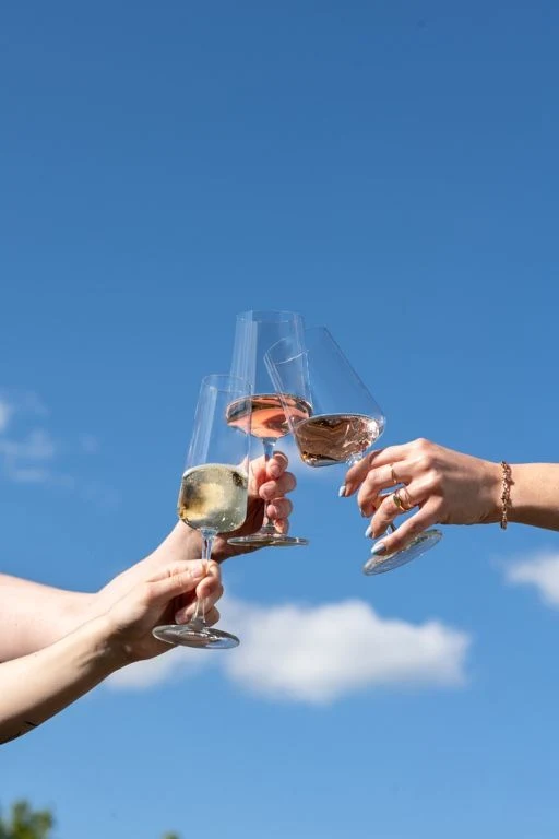 Set de verres a vin Schott Zwiesel - Verres a vin blanc - 380 ml - 4 pièces