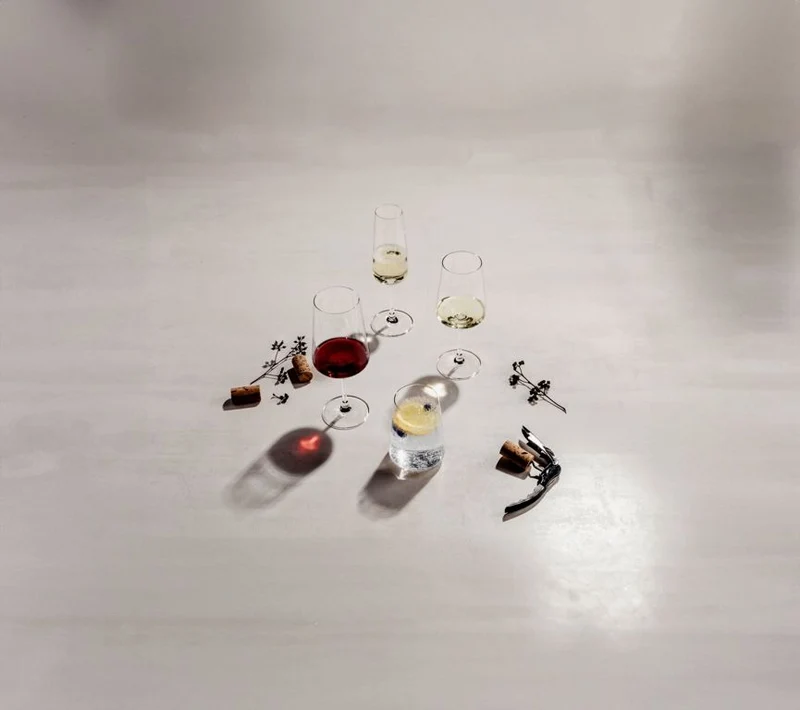 Set de verres a vin Schott Zwiesel - Verres a vin rouge - MioVino - 12 pieces