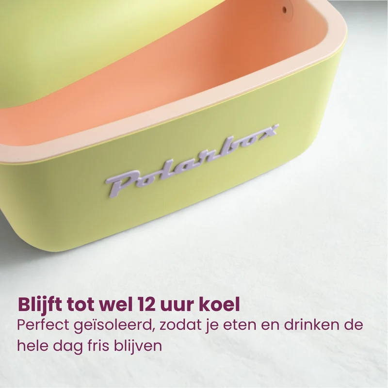Glacière Polarbox - Glacière avec bandoulière - Lime-Lilac - 20 L