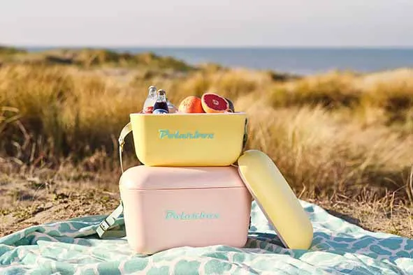 Glacière Polarbox - Glacière avec bandoulière - Lime-Lilac - 20 L